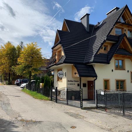 Apartmán Dzika Owca Zakopane Exteriér fotografie